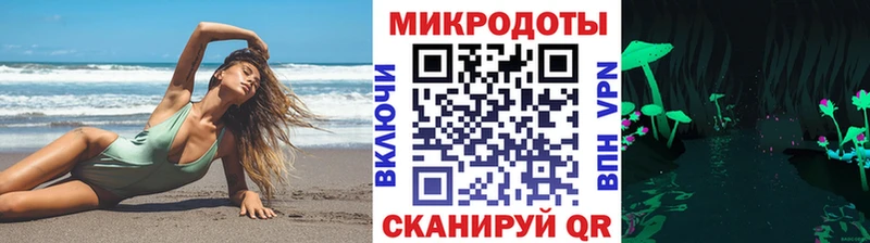 Псилоцибиновые грибы Psilocybine cubensis Малоярославец